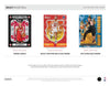 2024-25 Panini Select Basketball Blaster Box (Flash Prizms)