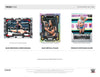 2024 Panini Panini WWE Hobby Box